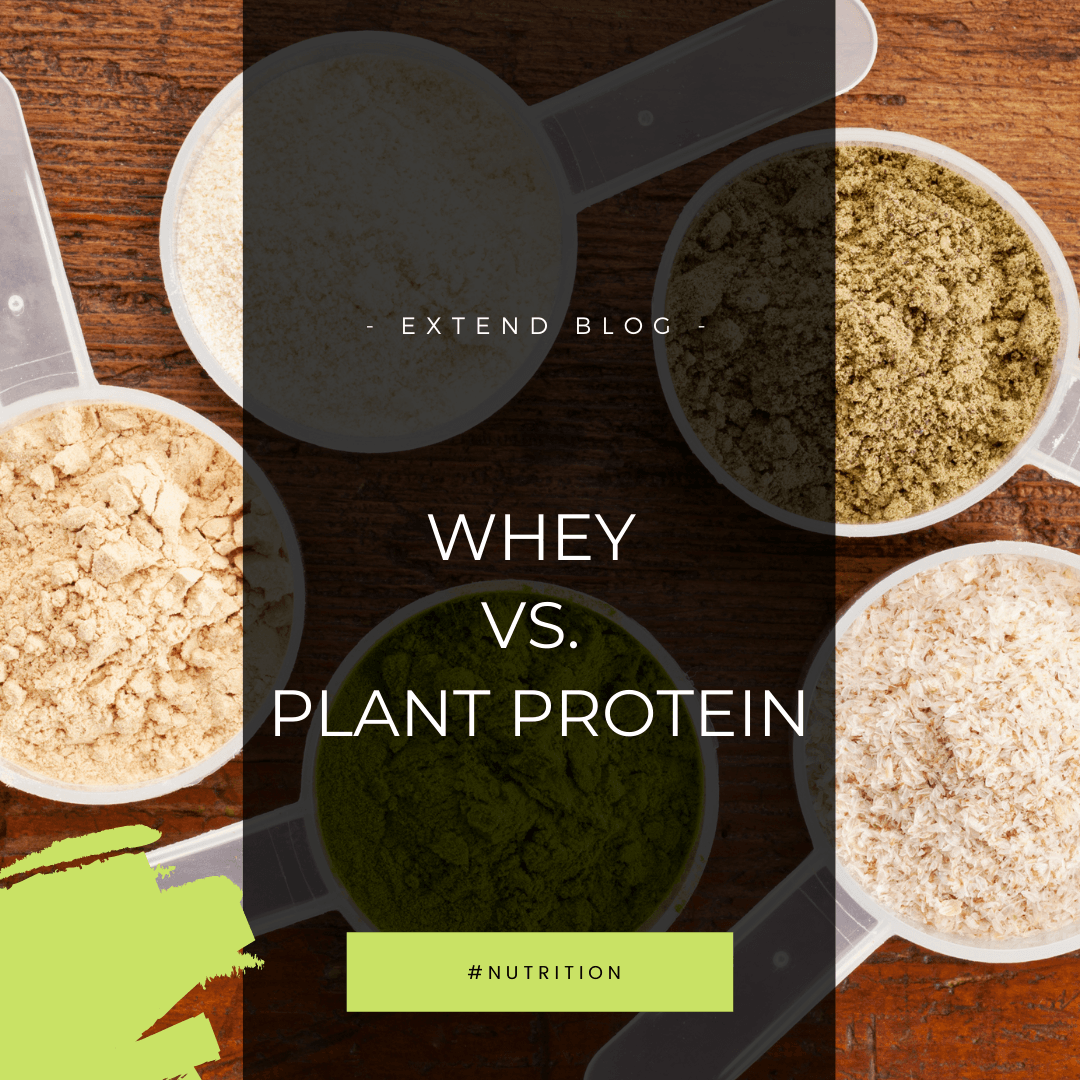 What Is Whey?